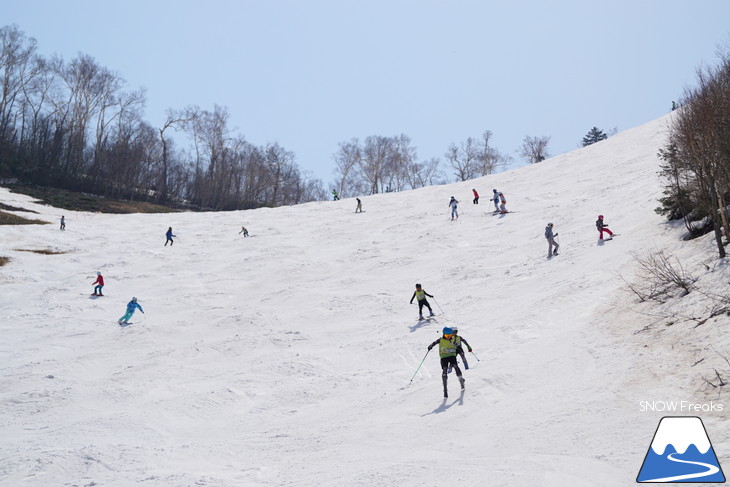 サッポロテイネ 現在積雪 215cm。山麓まで思いっきり滑れます！